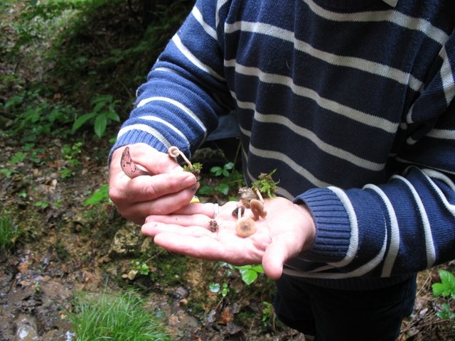 2007 05 Myco porte Baudet 07